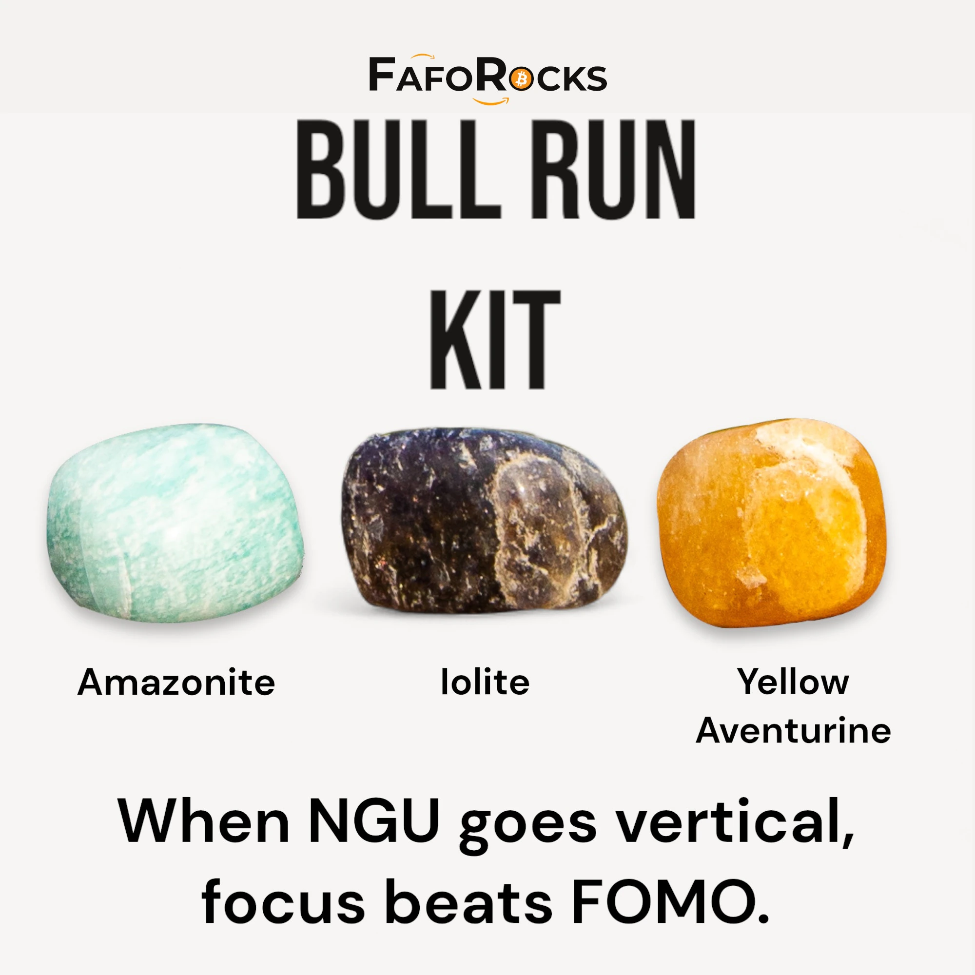 Bull Run Kit